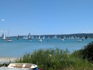 PXL_20260704_100056660.MP